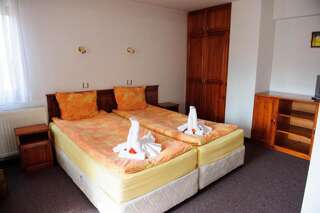 Отель Family Hotel Nadejda Банско Двухместный номер с 1 кроватью и дополнительной кроватью (для 2 взрослых и 1 ребенка)-4