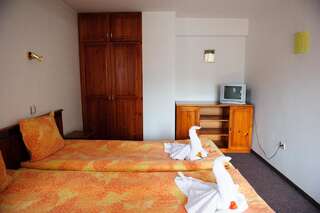 Отель Family Hotel Nadejda Банско Двухместный номер с 1 кроватью и дополнительной кроватью (для 2 взрослых и 1 ребенка)-5